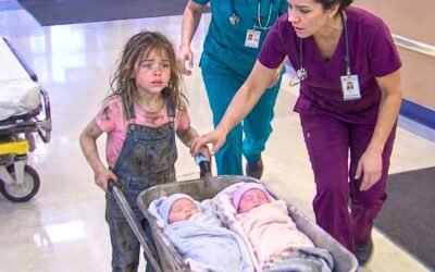 “My mommy hasn’t woken up in 3 days”: A 6-year-old girl pushed her newborn twin siblings for miles in a wheelbarrow, desperately searching for help. But what happened when someone finally found them left everyone completely speechless…